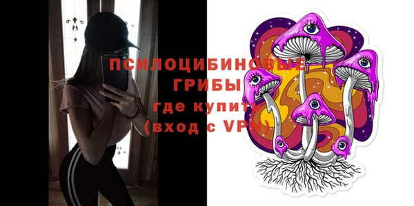 сатива Богородск