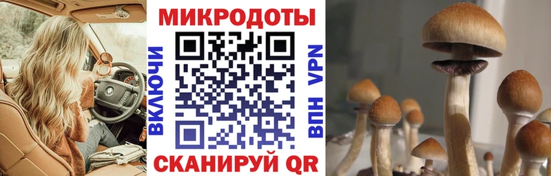Галлюциногенные грибы мухоморы  Купить  Зверево 